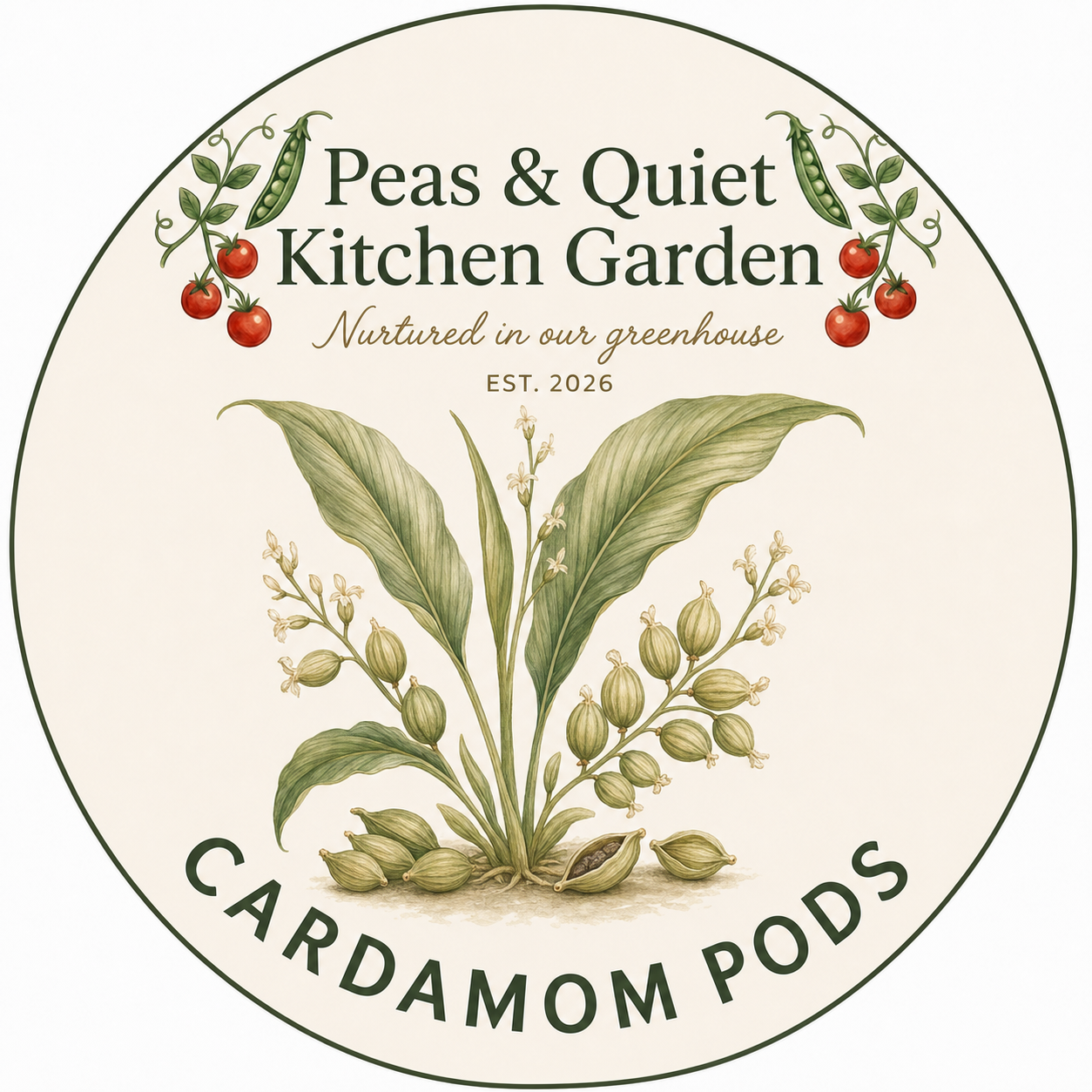 Cardamom Pods